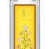 Forest essentials -GET EXTRA RICH ALMOND BODY MASSAGE OIL MYSORE SANDALWOOD & VETIVER