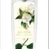 Forest Essentials – Hand & Body Lotion Mashobra Wild Honey & Vanilla 50 ml at Rs. 350