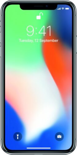 Apple Iphone X (256 GB)