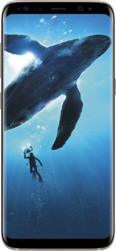 Samsung Galaxy S8