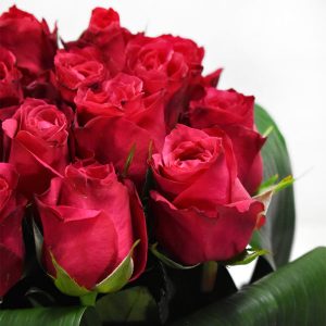 Dark Pink Roses Arrangement